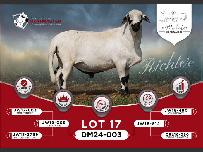 DM 24-003 | Mario Marais - Model Meatmasters, Britz