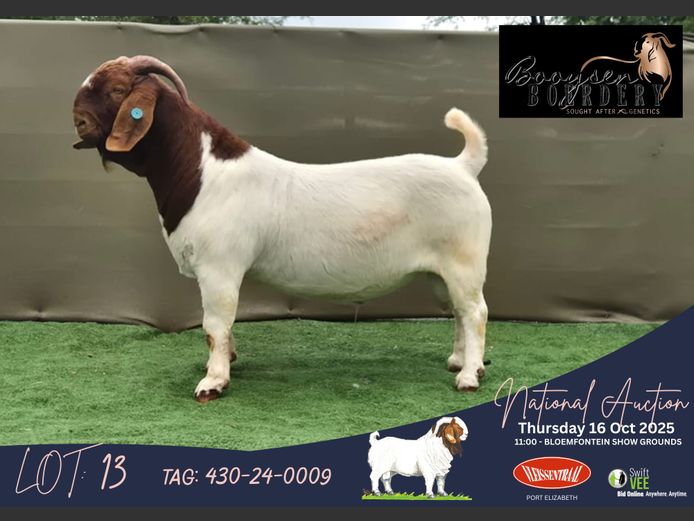 430-24-0009 | Hein Booysen (Booysen Boerdery)