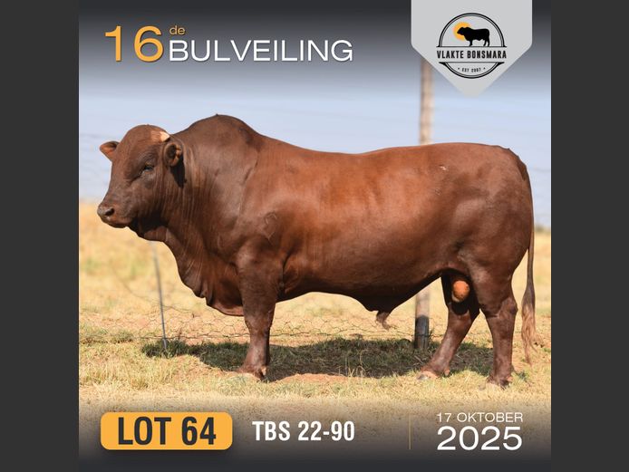 TBS 220090 | THABA KWENA BONSMARAS