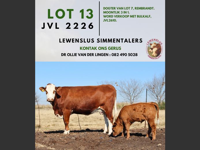 JVL2226 | DR JSH VAN DER LINGEN