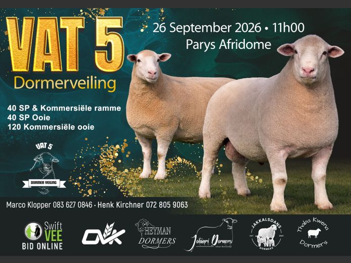 VAT 5 DORMERVEILING