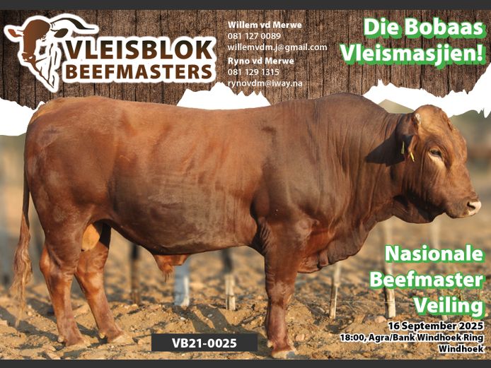 21-0025VB | VLEISBLOCK BEEFMASTER