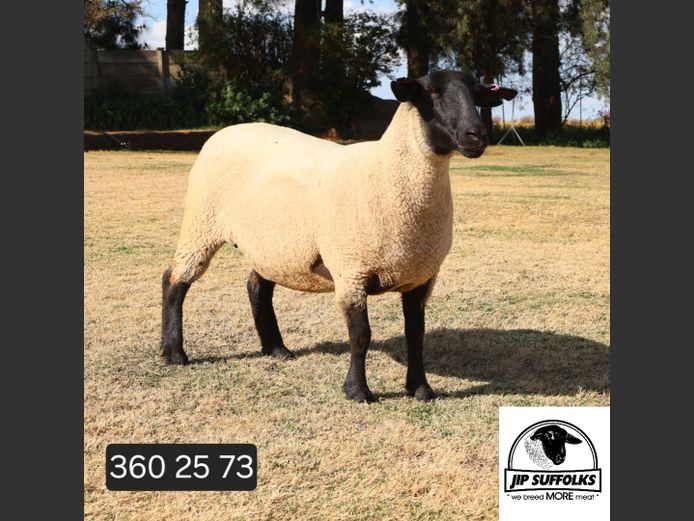 360250073 | J.I. POTGIETER