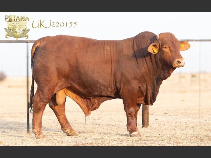 UKJ 220155