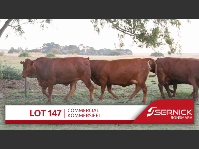 Commercial Animals
