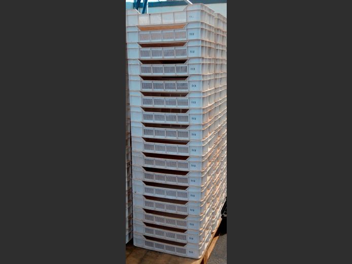 LOT OF 16: PLASTIC FRUIT CRATES