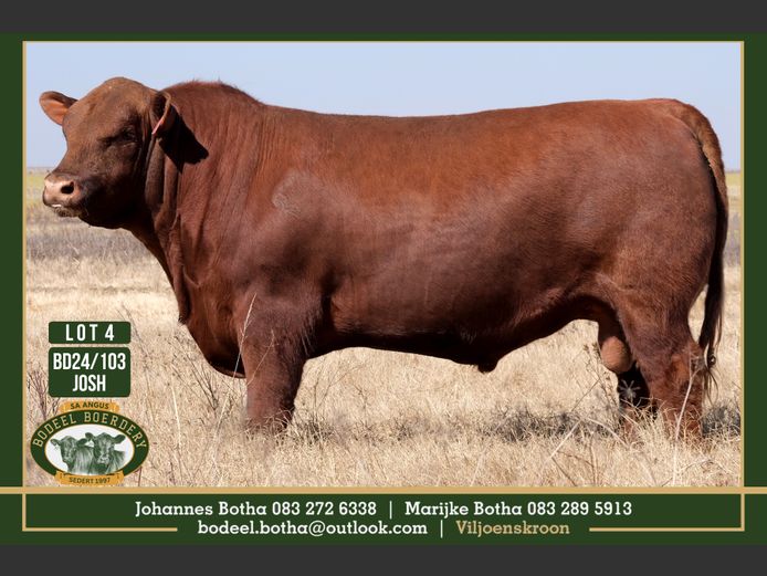 BD240103 | BODEEL BOERDERY