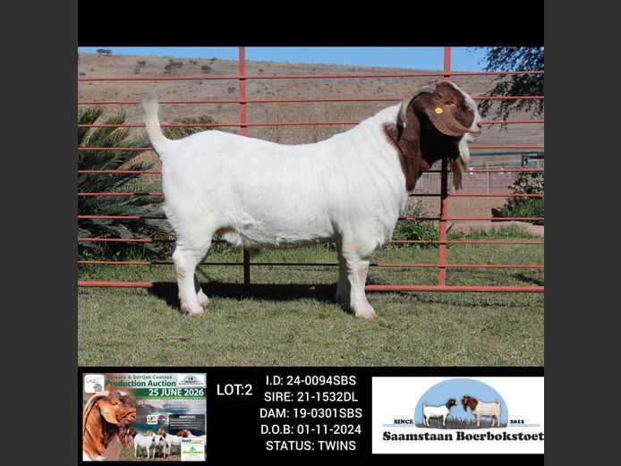 24-0094SBS | SAAMSTAAN BOERBOKSTOET