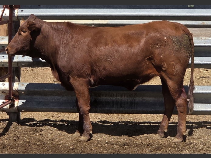 DKH 230074 | DONKERHOEK BOERDERY TRUST