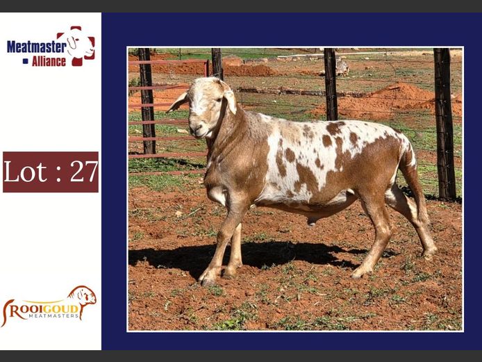 W538 | Rooigoud Meatmasters