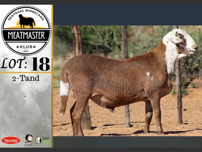 PS 108 | Vrede Meatmasters