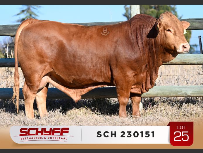 SCH 230151
