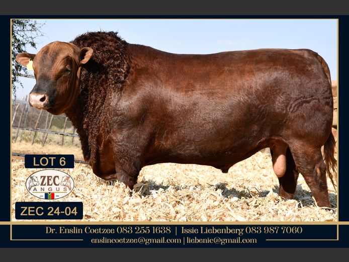 ZEC240004PcPc | Z.E. COETZEE