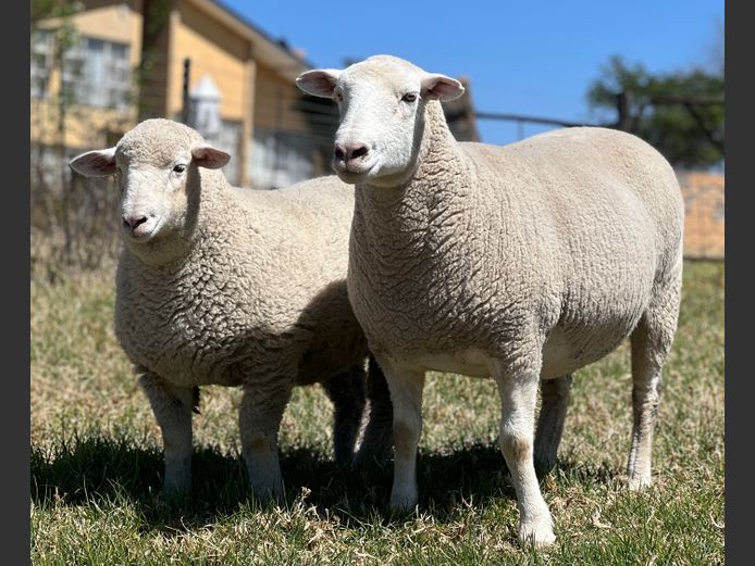 JB 230155 | J.A. BARNARD