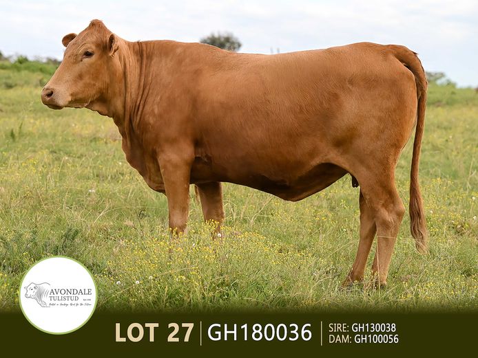 GH180036 | A.D. MULLINS