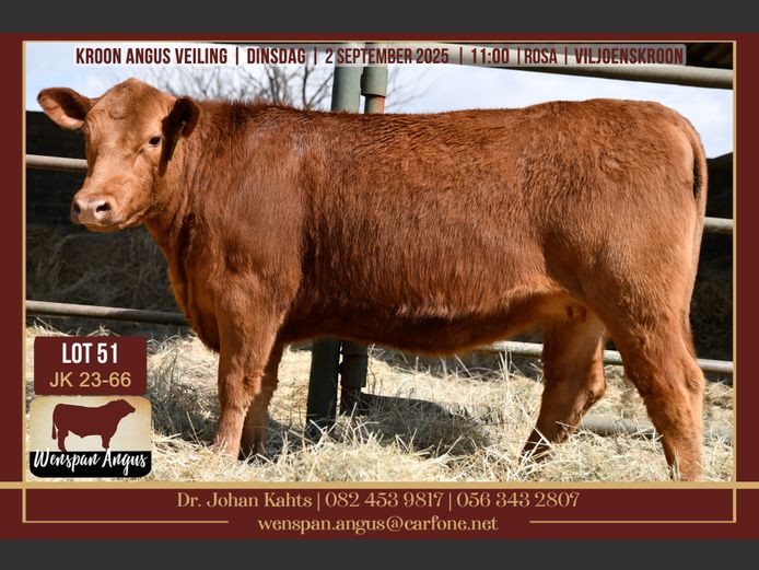 JK 230066 | J. KAHTS