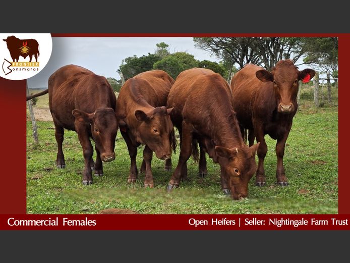 Commercial Animals | Nightingale Farm Trust