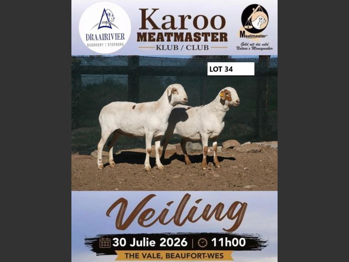 NS24-053 | Nollie Stofberg - Draairivier Meatmasters