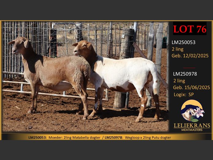 LM250978 | LELIEKRANS MEATMASTERS