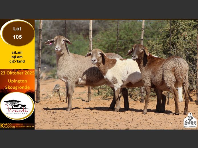 PS 105C | Peter & Christia Scholtz - Vrede Meatmasters