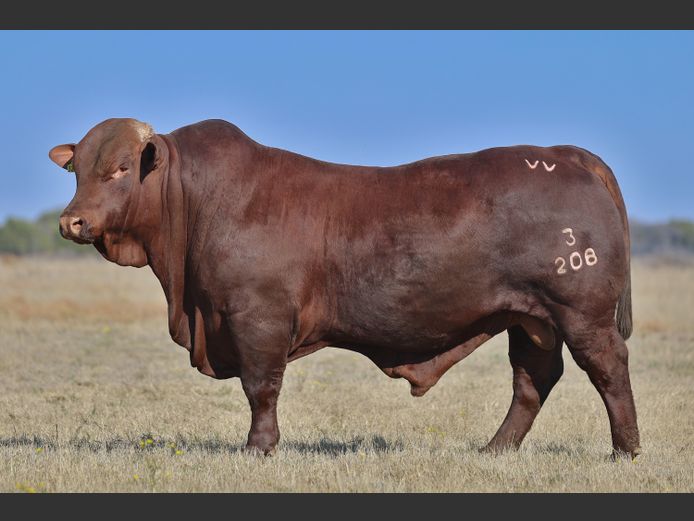 VV230208HH | T. DE JAGER