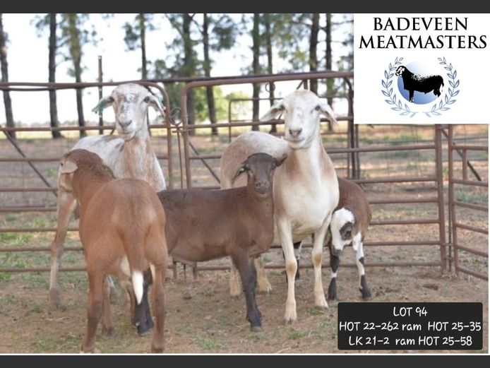 HOT 22-262 | Badeveen Meatmasters