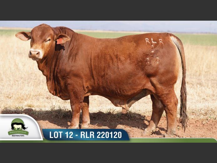 RLR 220120 | RHENOSTERVALLEI