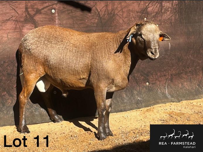 41 | Rea Farmstead
