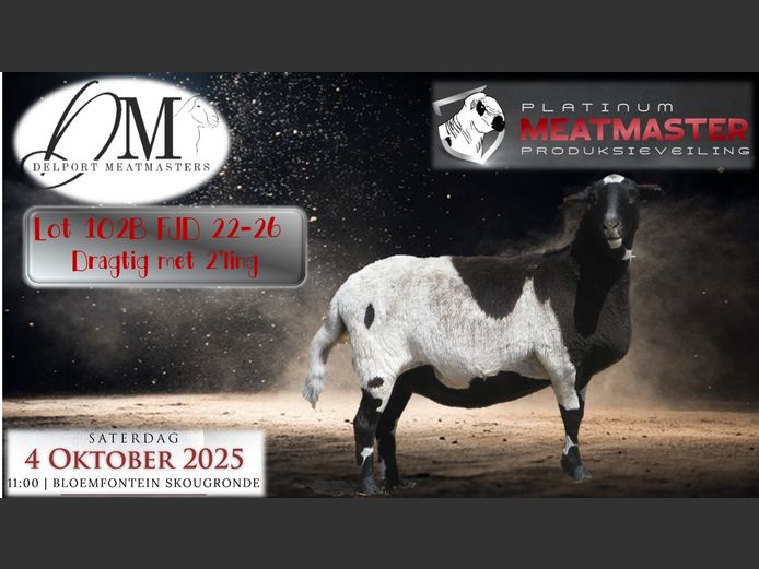 FJD 22-026 | Piet & Cois Delport - Delport Boerdery, Wesselsbron