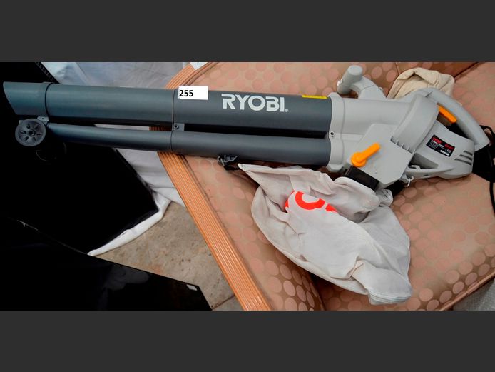 RYOBI GARDEN BLOWER [Switches on, untested further]