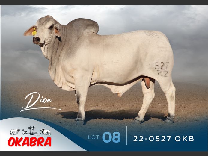 22-0527 OKB