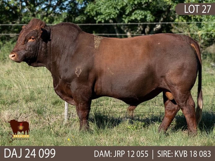 DAJ 240099 | J.D. STIRK