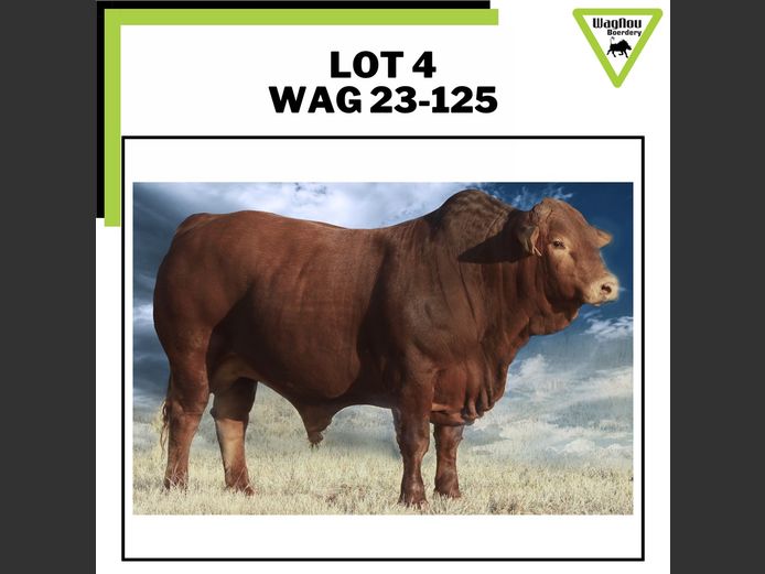 WAG 230125 | WAGNOU BOERDERY