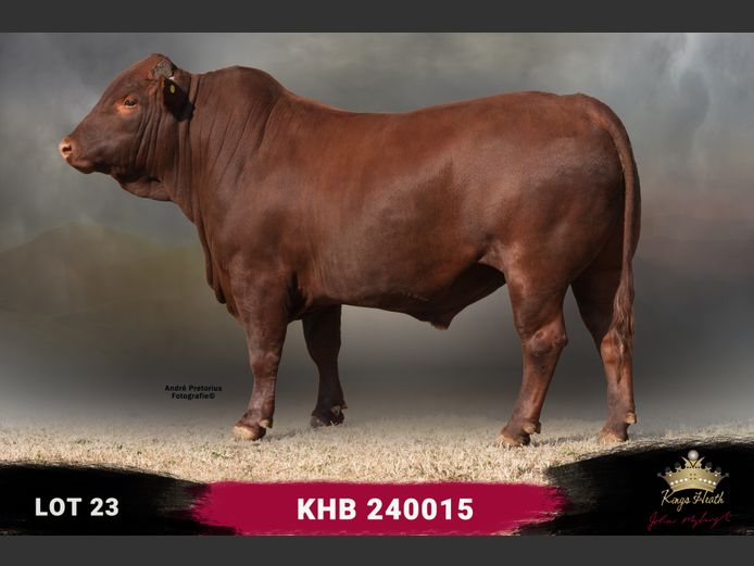 KHB 240015