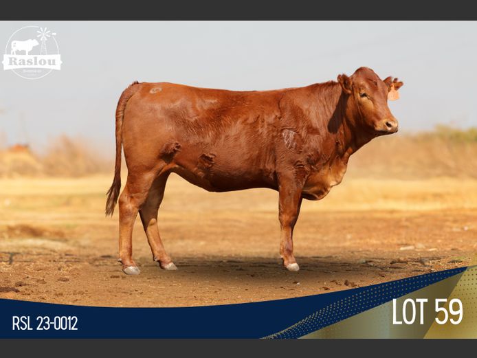 RSL 230012 | RASLOU BONSMARAS