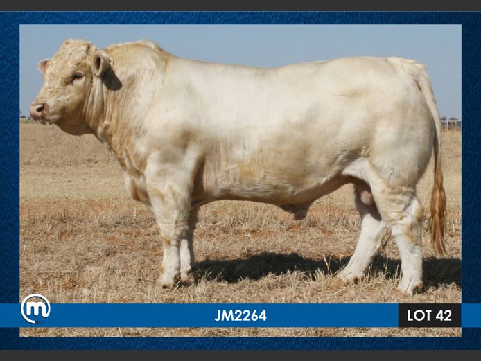 JM 220064