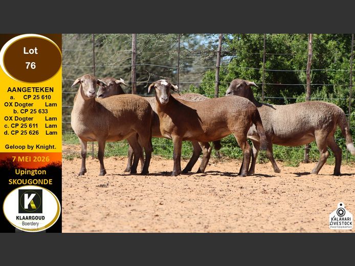 CP 25 633 | KLAARGOUD BOERDERY