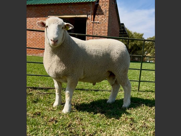 DH 240060 | HEYMAN DORMERS