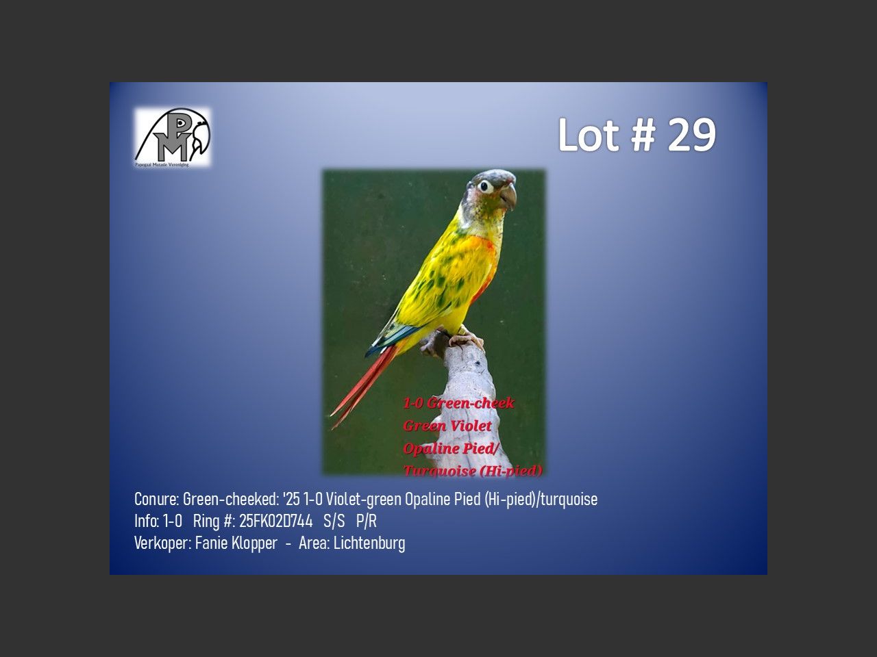 images