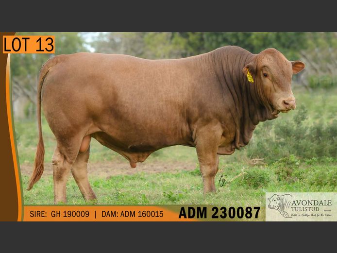 ADM 230087 | A.D. MULLINS