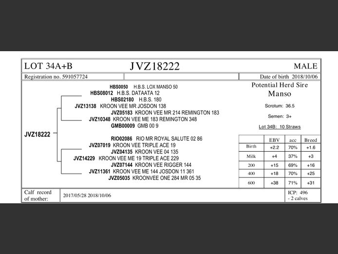 JVZ18-222