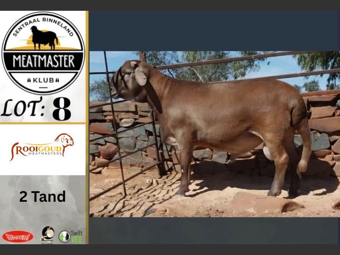 S462 | Rooigoud Meatmasters