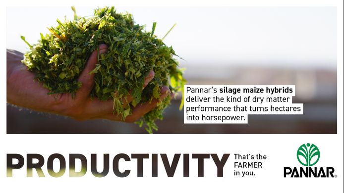 Products and Services