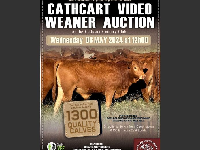 CATHCART WEANER VIDEO SALE