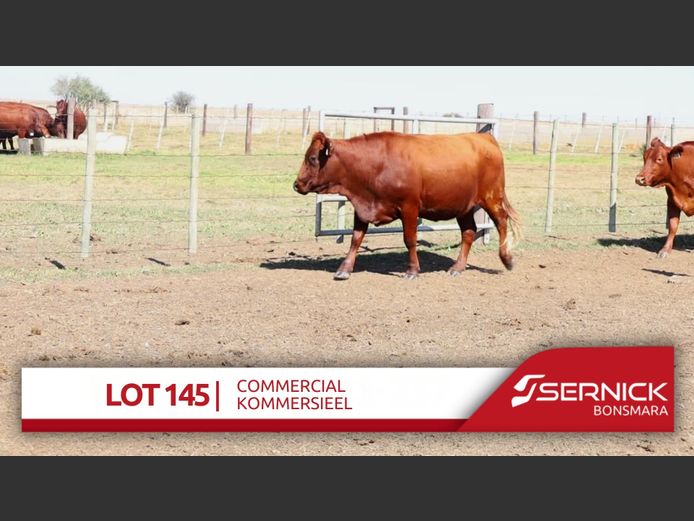 Commercial Animals