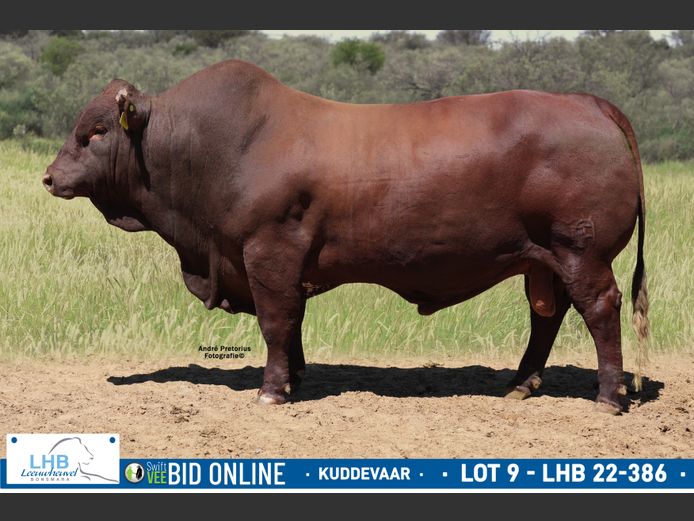 LHB 220386 | LEEUHEUWEL BOERDERY (EDMS) BPK
