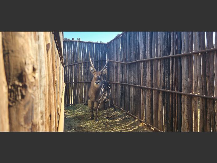 WATERBOK | HANLEY