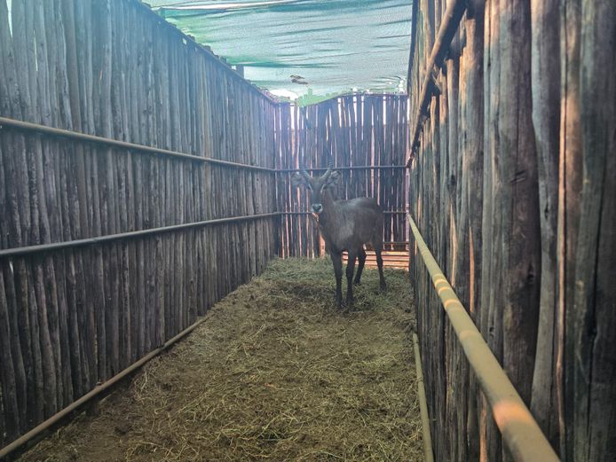 WATERBOK | HANLEY 1