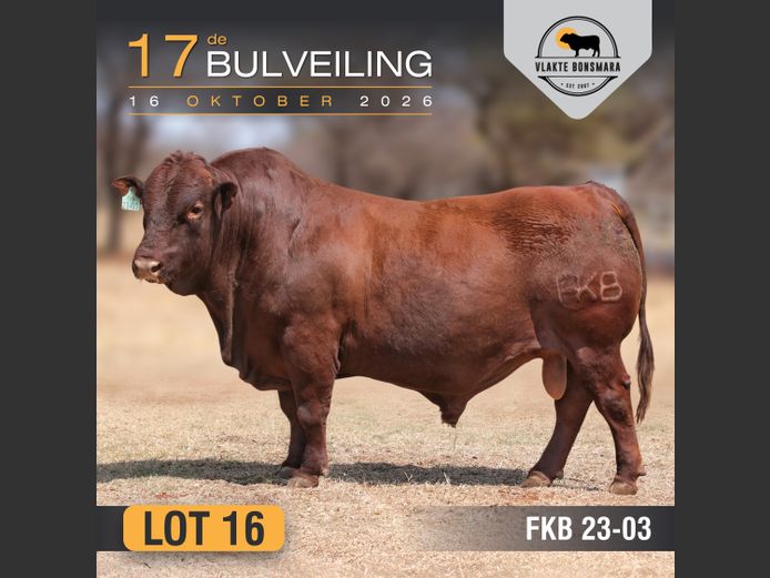 FKB230003 | FRITS KROON BOERDERY
