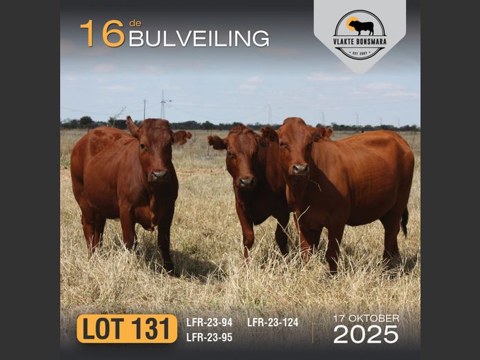 Commercial Animals | LFR BONSMARAS